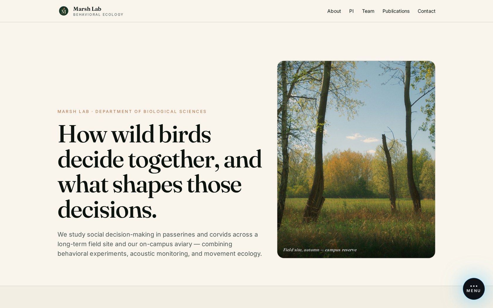 Faculty Lab Site website preview